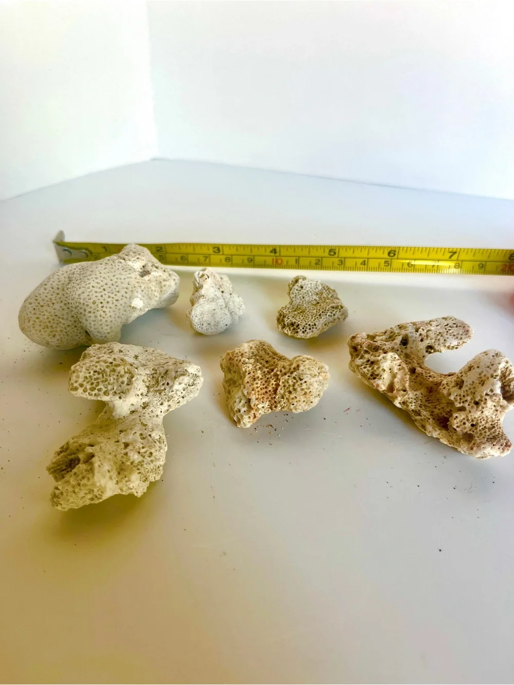 Natural White Coral Rock Décor for Habitats - lot of 6 Pieces